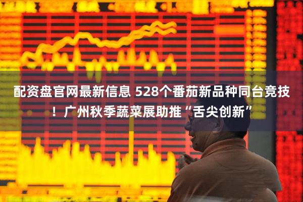 配资盘官网最新信息 528个番茄新品种同台竞技!广州秋季蔬菜展助推“舌尖创新”